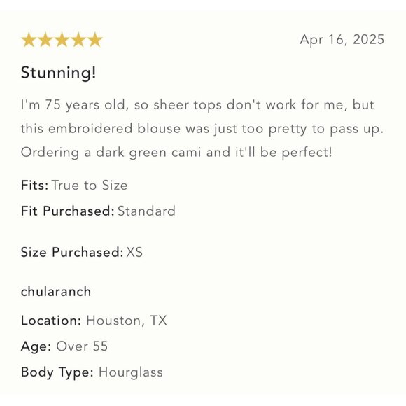 NWT Size L - ANTHROPOLOGIE Sheer Embroidered Mesh Blouse (NWT US$128) - Picture 15 of 16